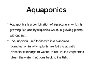 Aquaponics
• Aquaponics is a combination of aquaculture, which is
growing fish and hydroponics which is growing plants
without soil.
• Aquaponics uses these two in a symbiotic
combination in which plants are fed the aquatic
animals’ discharge or waste. In return, the vegetables
clean the water that goes back to the fish.
 