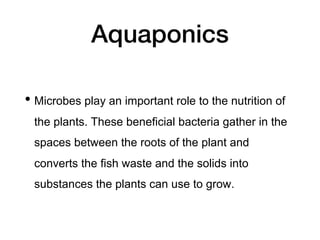 Aquaponics
• Microbes play an important role to the nutrition of
the plants. These beneficial bacteria gather in the
spaces between the roots of the plant and
converts the fish waste and the solids into
substances the plants can use to grow.
 