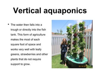 Vertical aquaponics
• The water then falls into a
trough or directly into the fish
tank. This form of agriculture
makes the most of each
square foot of space and
works very well with leafy
greens, strawberries and other
plants that do not require
support to grow.
 