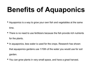 Benefits of Aquaponics
• Aquaponics is a way to grow your own fish and vegetables at the same
time.
• There is no need to use fertilizers because the fish provide rich nutrients
for the plants.
• In aquaponics, less water is used for the crops. Research has shown
that aquaponics gardens use 1/10th of the water you would use for soil
garden.
• You can grow plants in very small space, and have a great harvest.
 