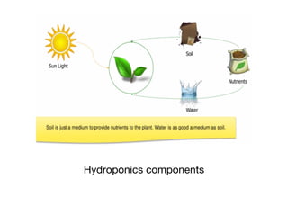 Hydroponics components
 