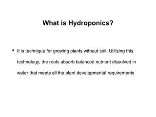 What is Hydroponics?
• It is technique for growing plants without soil. Utilizing this
technology, the roots absorb balanced nutrient dissolved in
water that meets all the plant developmental requirements
 