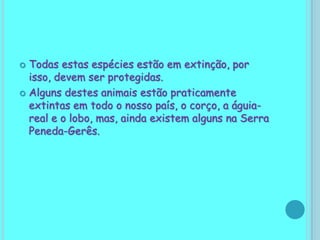 Perfurando a camada de ozono que é o que protege o nosso planeta dos raios ultravioletas. Há gases poluentes que se deslocam pelos ventos e, ao dissolverem-se  nas águas da chuva, fazem chuvas ácidas, más para as florestas e seres vivos.