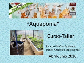 “Aquaponia” Curso-Taller Ricardo Dueñas Escalante Daniel Ambrosio Mora Núñez Abril-Junio2010 