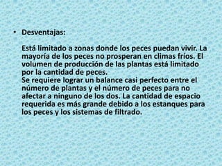 Desventajas:Está limitado a zonas donde los peces puedan vivir. La mayoría de los peces no prosperan en climas fríos. El volumen de producción de las plantas está limitado por la cantidad de peces.Se requiere lograr un balance casi perfecto entre el número de plantas y el número de peces para no afectar a ninguno de los dos. La cantidad de espacio requerida es más grande debido a los estanques para los peces y los sistemas de filtrado.