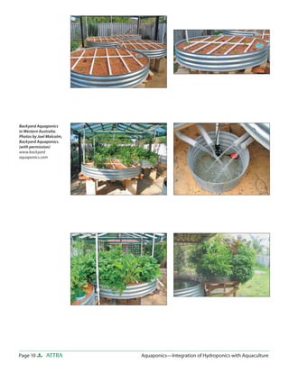 Page 10 ATTRA Aquaponics—Integration of Hydroponics with AquacultureAquaponics—Integration of Hydroponics with Aquaculture
Backyard Aquaponics
in Western Australia.
Photos by Joel Malcolm,
Backyard Aquaponics.
(with permission)
www.backyard
aquaponics.com
 