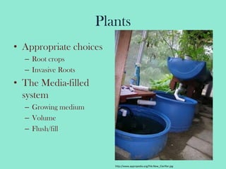 PlantsAppropriate choicesRoot cropsInvasive RootsThe Media-filled systemGrowing mediumVolumeFlush/fillhttp://www.appropedia.org/File:New_Clarifier.jpg