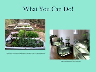 What You Can Do!http://www.ecofilms.com.au/2010/07/23/growing-trout-in-a-bathtub-system/http://nosmarties.com/2009/local-river/