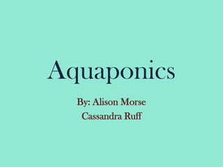 Aquaponics By: Alison Morse Cassandra Ruff 