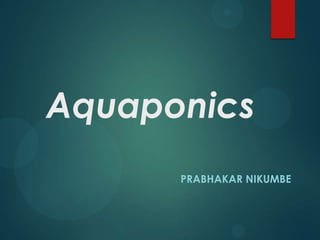 Aquaponics
      PRABHAKAR NIKUMBE
 