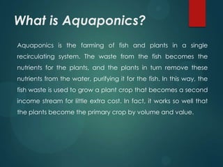 What is Aquaponics?
Aquaponics is the farming of fish and plants in a single
recirculating system. The waste from the fish becomes the
nutrients for the plants, and the plants in turn remove these
nutrients from the water, purifying it for the fish. In this way, the
fish waste is used to grow a plant crop that becomes a second
income stream for little extra cost. In fact, it works so well that
the plants become the primary crop by volume and value.
 