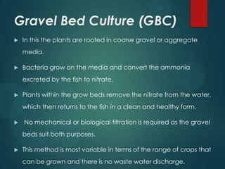 Gravel Bed Culture (GBC)
   In this the plants are rooted in coarse gravel or aggregate
    media.

   Bacteria grow on the media and convert the ammonia
    excreted by the fish to nitrate.

   Plants within the grow beds remove the nitrate from the water,
    which then returns to the fish in a clean and healthy form.

   No mechanical or biological filtration is required as the gravel
    beds suit both purposes.

   This method is most variable in terms of the range of crops that
    can be grown and there is no waste water discharge.
 