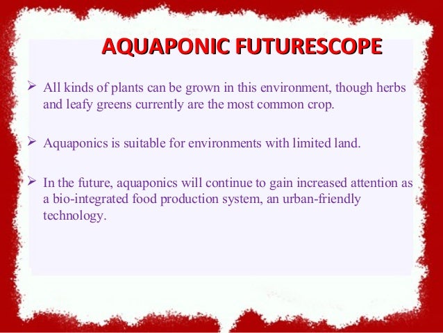 aquaponics - combined fish and vegetable farming