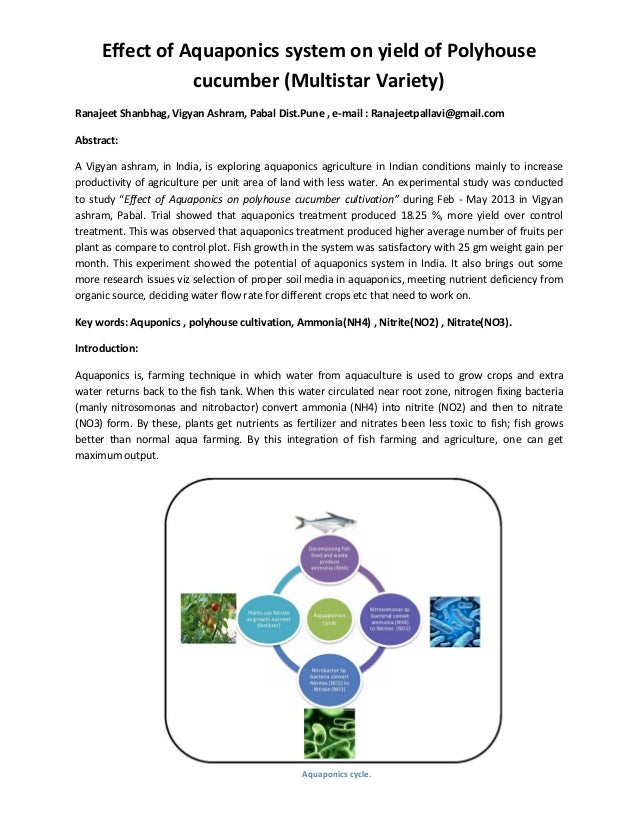 aquaponics farming-techniquc
