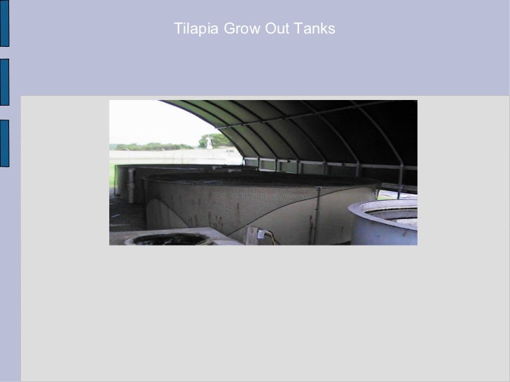 aquaponics food factories