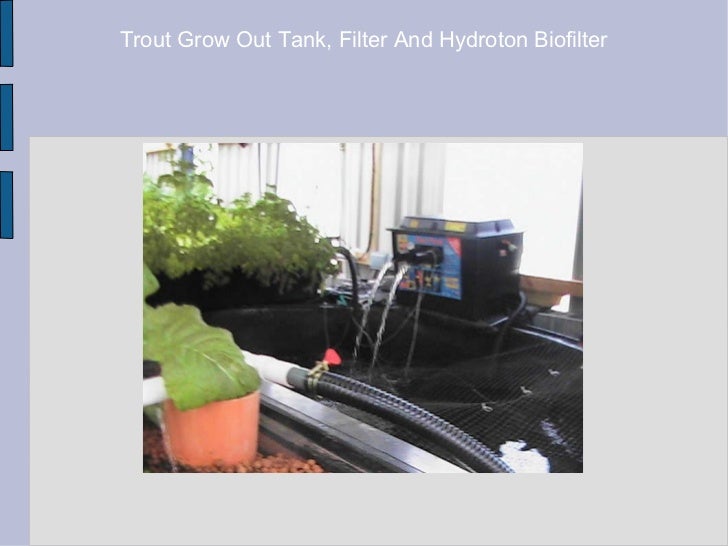 aquaponics food factories