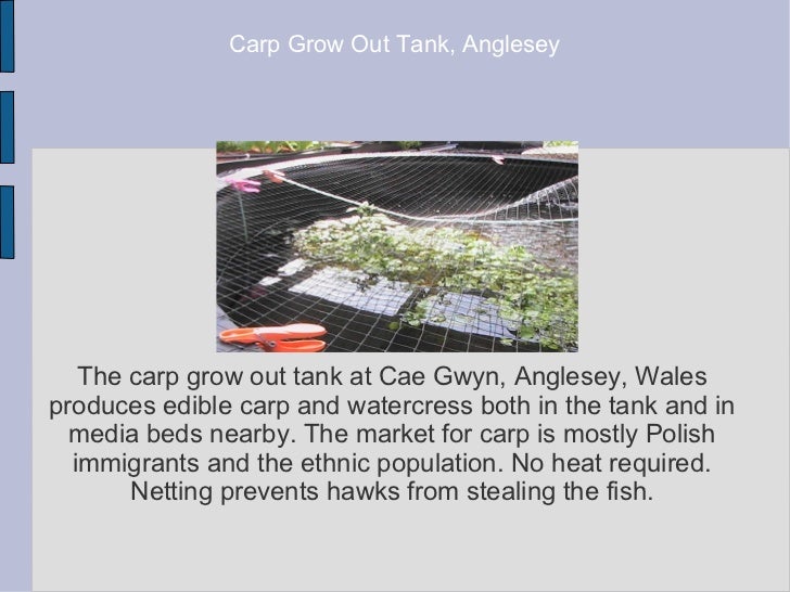 Aquaponics food factories