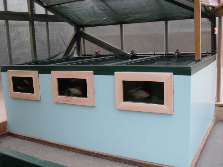 Aquaponics and Renewable Energy