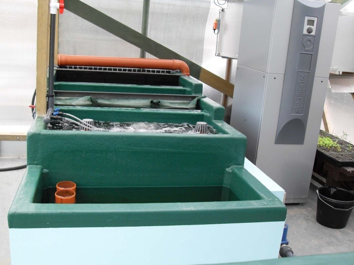 Aquaponics and Renewable Energy
