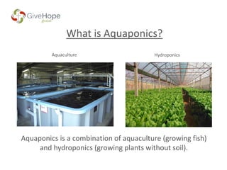 What is Aquaponics?
Aquaculture Hydroponics
Aquaponics is a combination of aquaculture (growing fish)
and hydroponics (growing plants without soil).
 