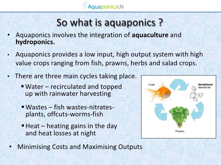 Aquaponics Aquaponics, energy efficiency, and an ecosystem ...