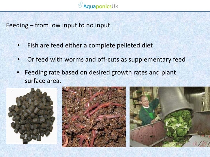 Aquaponics Aquaponics, energy efficiency, and an ecosystem ...