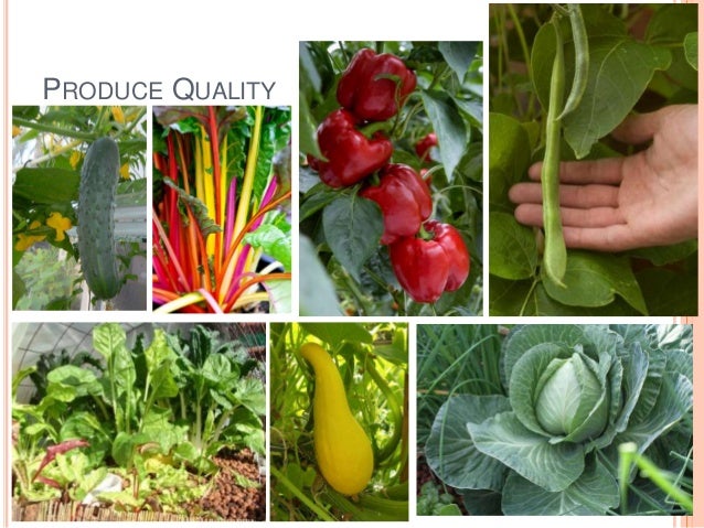 Aquaponic Food Production