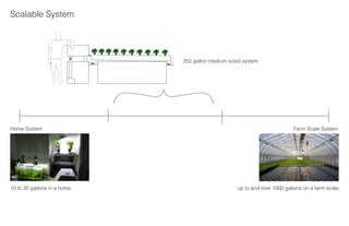 Aquaponics Final Presentation