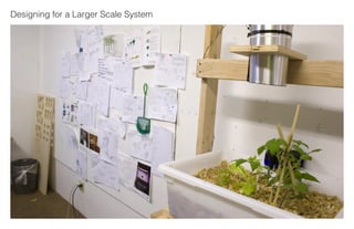 Aquaponics Final Presentation