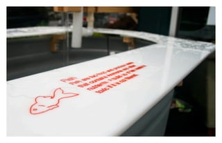 Aquaponics Final Presentation