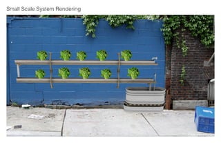 Aquaponics Final Presentation