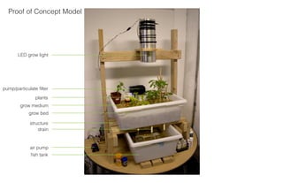 Aquaponics Final Presentation