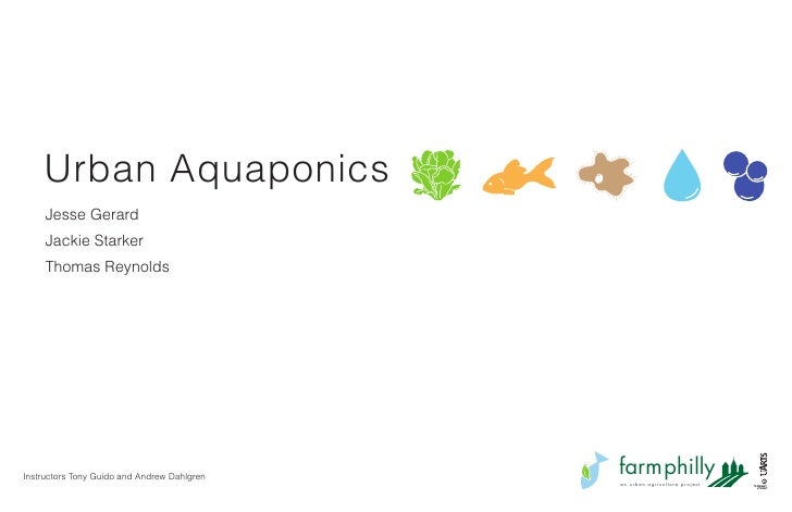 aquaponics final presentation