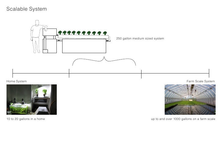 Aquaponics Final Presentation