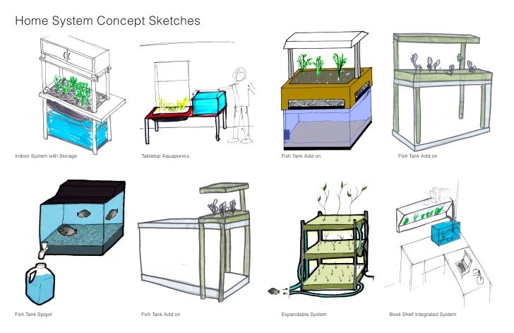 aquaponics final presentation
