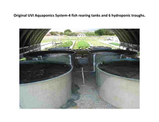 Original UVI Aquaponics System-4 fish rearing tanks and 6 hydroponic troughs.
 