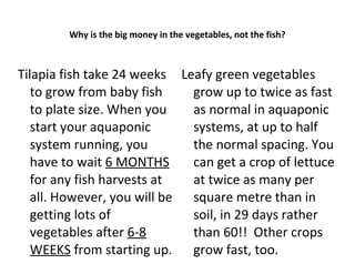 Why is the big money in the vegetables, not the fish?



Tilapia fish take 24 weeks Leafy green vegetables
   to grow from baby fish    grow up to twice as fast
   to plate size. When you   as normal in aquaponic
   start your aquaponic      systems, at up to half
   system running, you       the normal spacing. You
   have to wait 6 MONTHS     can get a crop of lettuce
   for any fish harvests at  at twice as many per
   all. However, you will be square metre than in
   getting lots of           soil, in 29 days rather
   vegetables after 6-8      than 60!! Other crops
   WEEKS from starting up. grow fast, too.
 