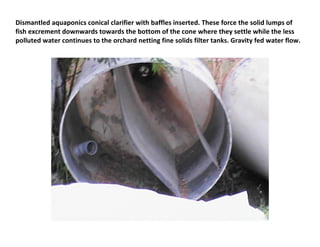 Dismantled aquaponics conical clarifier with baffles inserted. These force the solid lumps of
fish excrement downwards towards the bottom of the cone where they settle while the less
polluted water continues to the orchard netting fine solids filter tanks. Gravity fed water flow.
 