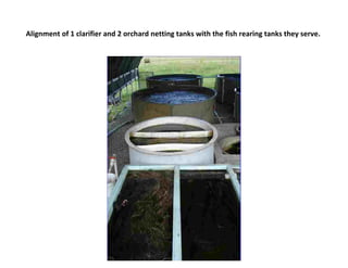 Alignment of 1 clarifier and 2 orchard netting tanks with the fish rearing tanks they serve.
 
