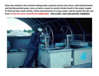 Clean the netting in the orchard netting tanks using the winch and a hose, with dechlorinated
and dechloramined water, once or twice a week to control nitrate levels in the water supply.
To find out how much nitrate, nitrite and ammonia is in your water, and to control the pH, you
have to test the water scientifically EVERY DAY. THIS IS NOT 'JUST ADD WATER' FARMING!
 