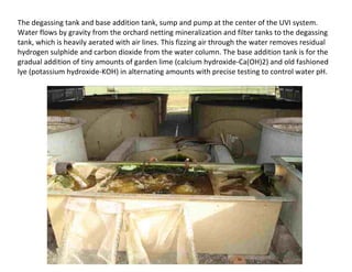 The degassing tank and base addition tank, sump and pump at the center of the UVI system.
Water flows by gravity from the orchard netting mineralization and filter tanks to the degassing
tank, which is heavily aerated with air lines. This fizzing air through the water removes residual
hydrogen sulphide and carbon dioxide from the water column. The base addition tank is for the
gradual addition of tiny amounts of garden lime (calcium hydroxide-Ca(OH)2) and old fashioned
lye (potassium hydroxide-KOH) in alternating amounts with precise testing to control water pH.
 