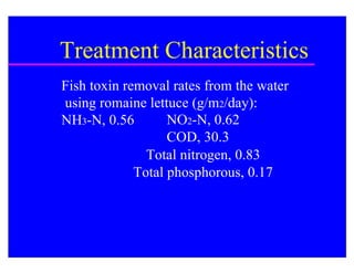 Treatment Characteristics
Fish toxin removal rates from the water
using romaine lettuce (g/m2/day):
NH3-N, 0.56        NO2-N, 0.62
                   COD, 30.3
               Total nitrogen, 0.83
             Total phosphorous, 0.17
 