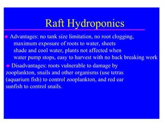 Raft Hydroponics
 Advantages: no tank size limitation, no root clogging,
   maximum exposure of roots to water, sheets
   shade and cool water, plants not affected when
   water pump stops, easy to harvest with no back breaking work
 Disadvantages: roots vulnerable to damage by
zooplankton, snails and other organisms (use tetras
(aquarium fish) to control zooplankton, and red ear
sunfish to control snails.
 