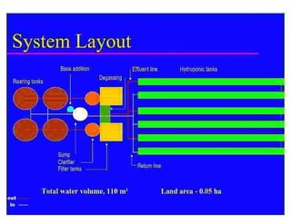 Base addition                    Effluent line           Hydroponic tanks
                                 Degassing
Rearing tanks




           Sump
                    Clarifier
                                                   Return line
                  Filter tanks


    Total water volume, 110 m3                   Land area - 0.05 ha
 