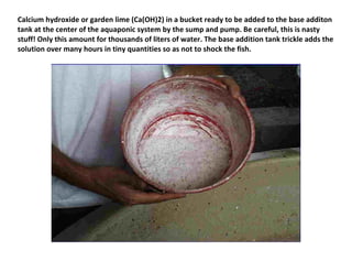 Calcium hydroxide or garden lime (Ca(OH)2) in a bucket ready to be added to the base additon
tank at the center of the aquaponic system by the sump and pump. Be careful, this is nasty
stuff! Only this amount for thousands of liters of water. The base addition tank trickle adds the
solution over many hours in tiny quantities so as not to shock the fish.
 