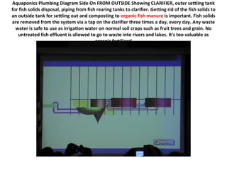 Aquaponics Plumbing Diagram Side On FROM OUTSIDE Showing CLARIFIER, outer settling tank
for fish solids disposal, piping from fish rearing tanks to clarifier. Getting rid of the fish solids to
an outside tank for settling out and composting to organic fish manure is important. Fish solids
are removed from the system via a tap on the clarifier three times a day, every day. Any waste
  water is safe to use as irrigation water on normal soil crops such as fruit trees and grain. No
   untreated fish effluent is allowed to go to waste into rivers and lakes. It's too valuable as
                                          organic fertilizer!
 