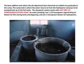 The base addition tank where the pH adjustment base chemicals are added very gradually to
the sump. This sump tank is where the water returns to from the hydroponic raceways to be
pumped back up to the fish tanks. The aquaponic system works with JUST ONE 1/2
HORSEPOWER ELECTRIC PUMP for water pumping, one 1 1/2 horsepower regenerating air
blower for fish rearing tanks and degassing, and one 1 horsepower blower for hydroponics.
 