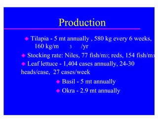 Production
  Tilapia - 5 mt annually , 580 kg every 6 weeks,
     160 kg/m       3   /yr
 Stocking rate: Niles, 77 fish/m3; reds, 154 fish/m3
 Leaf lettuce - 1,404 cases annually, 24-30
heads/case, 27 cases/week
               Basil - 5 mt annually
               Okra - 2.9 mt annually
 