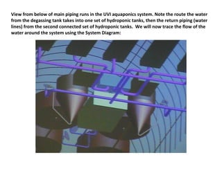View from below of main piping runs in the UVI aquaponics system. Note the route the water
from the degassing tank takes into one set of hydroponic tanks, then the return piping (water
lines) from the second connected set of hydroponic tanks. We will now trace the flow of the
water around the system using the System Diagram:
 