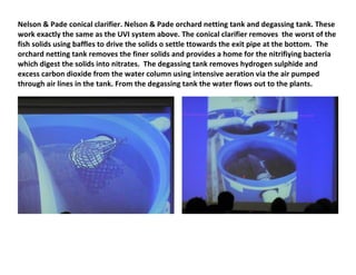 Nelson & Pade conical clarifier. Nelson & Pade orchard netting tank and degassing tank. These
work exactly the same as the UVI system above. The conical clarifier removes the worst of the
fish solids using baffles to drive the solids o settle ttowards the exit pipe at the bottom. The
orchard netting tank removes the finer solids and provides a home for the nitrifiying bacteria
which digest the solids into nitrates. The degassing tank removes hydrogen sulphide and
excess carbon dioxide from the water column using intensive aeration via the air pumped
through air lines in the tank. From the degassing tank the water flows out to the plants.
 